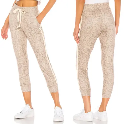 Sundry  Snake Print Knit Jogger Sweat Pants Sand Revolve USA Size 2 Medium