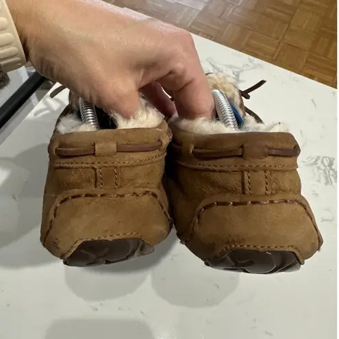 Ugg Women's UGG Dakota Sheepskin Chestnut Classic Slipper, Size 10, GUC Brown