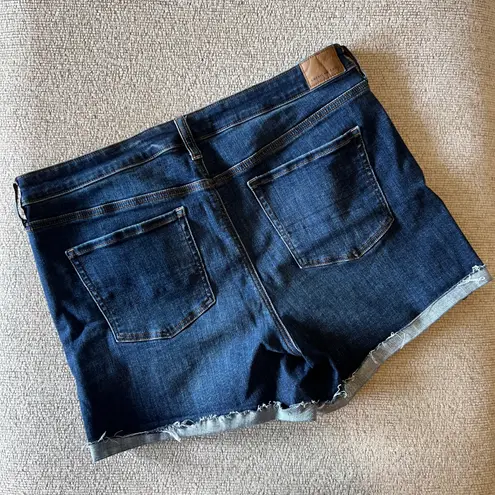 American Eagle Outfitters Jean Shorts