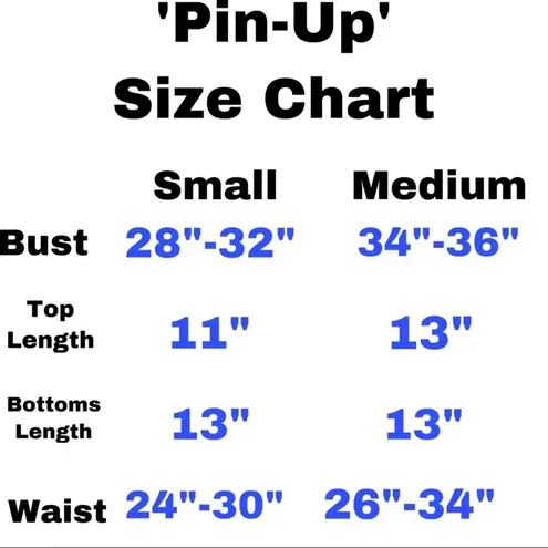 Boutique NWT Pin Up Two Piece Swimsuit