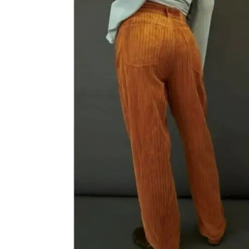 Urban Outfitters  BDG Corduroy High Rise Baggy Pants 24 Women’s Brown