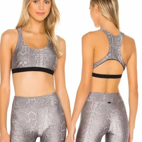 Koral Tax Infinity Sports Bra Snakeprint Size Small Reptile