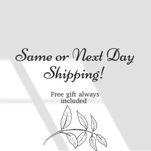 Set of 3 Christmas Enamel Lapel Pins NEW