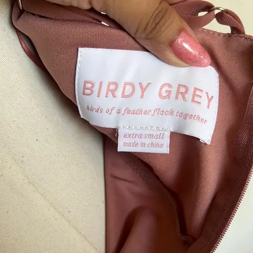 Birdy Grey NWT Theresa Chiffon Dress