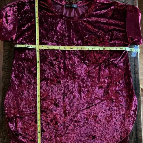 potter's pot Cranberry Wine Merlot colored Potter’s Pot velvet velour top short sleeve