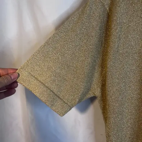 Terazzo Gold Metallic Knit Embroidered Dragonfly Sweater Blouse Size Large