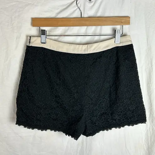 Alice Moon High Waisted Black Lace Shorts Size Large