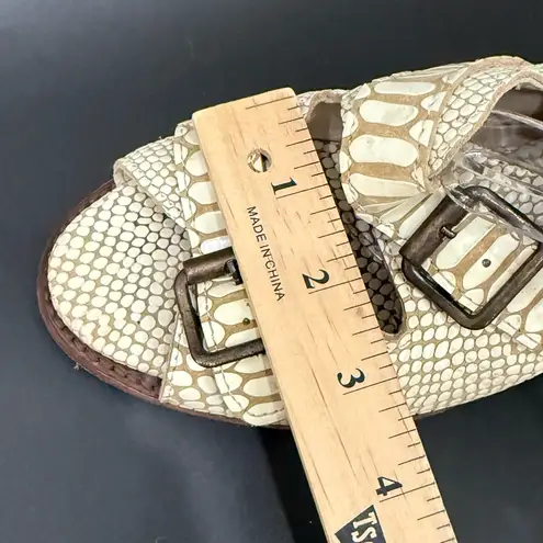 FREEBIRD by Steven Quail Ivory Textured Snake Leather Buckle Gladiator Sandals 9