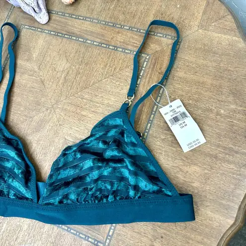 Aerie  NWT Deep Forest Green Velvet Stripe Triangle Bralette Medium