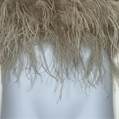 Lamarque Zaina Feather Crop Top Size: Large Dusty Rose New With Tags