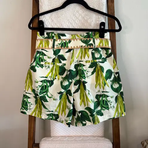 Cara Cara NWOT Green & Cream Sweet Pea Egret 100% Cotton Palmer Shorts