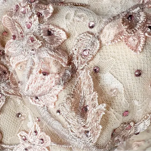 Mac Duggal NWT 70224 Pink Floral Applique Long Sleeve Illusion Gown Size 8