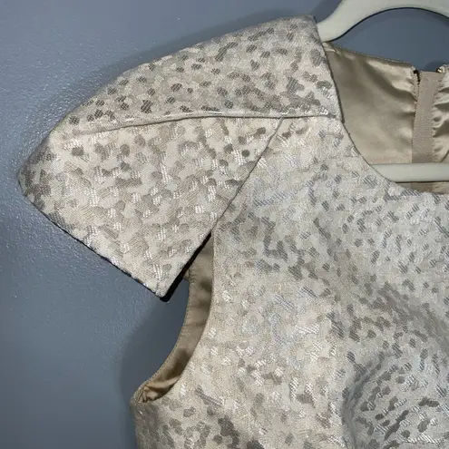 Badgley Mischka Belle Gold Cap Sleeve Crop Top Exposed Gold Zipper Back Size 8