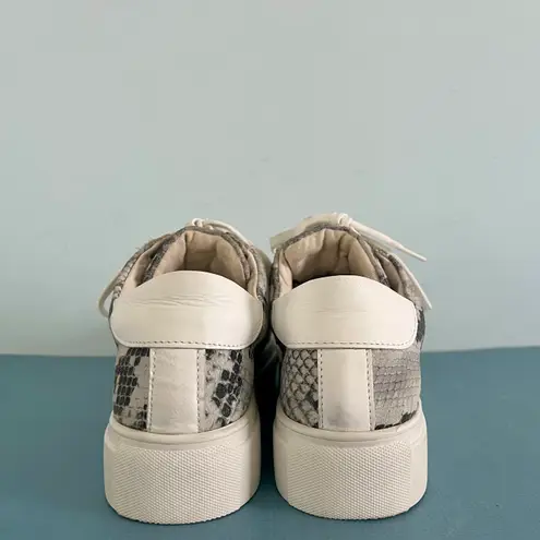 Myra Bags Myra Round About Faux Snakeskin Leather Lace Up Platform Sneakers