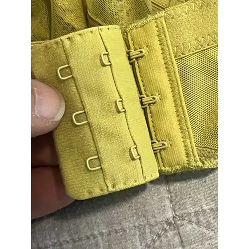 Ashley Stewart Bra Size 42D Green Lace Semi Sheer Underwire Lined Adjustable NWT