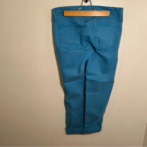 Just Black Addison Skinny Jean Colored Blue 29