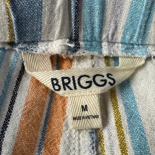 Briggs New York Briggs Medium Shorts Striped Linen Blend Pocket Elastic Waist Drawstring Hi-Rise