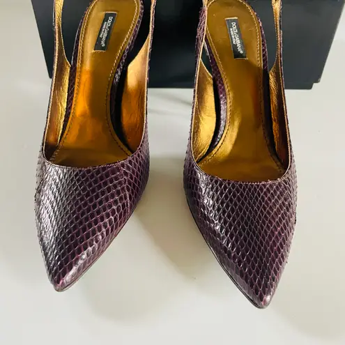 Dolce & Gabbana Brand New Slingback Heels Ayers Sz 11.5 (41.5) Italy