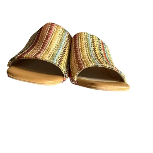 Seychelles Adapt Raffia Sandal - Multi Color