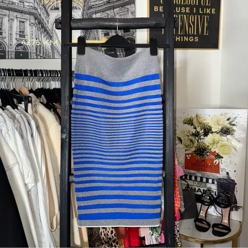 Alexander Wang Blue & Grey Striped Bodycon Knit Pencil Skirt