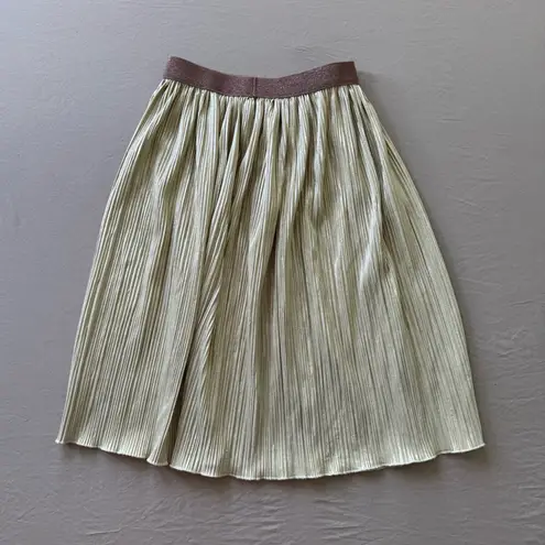 Crinkle Crepe Shiny Pleated Skirt Green Size XXS