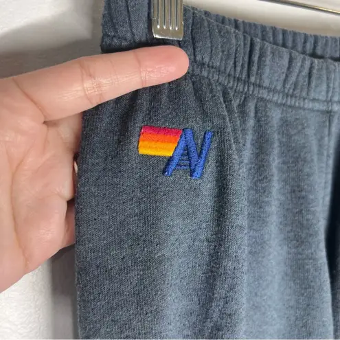 Aviator Nation Rainbow Pink Bolt Sweatpants Sz S