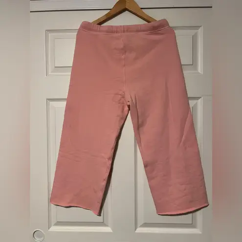 Frank & Eileen $198 Catherine Triple Fleece Sweat Pants Soft Pink Resort Coastal