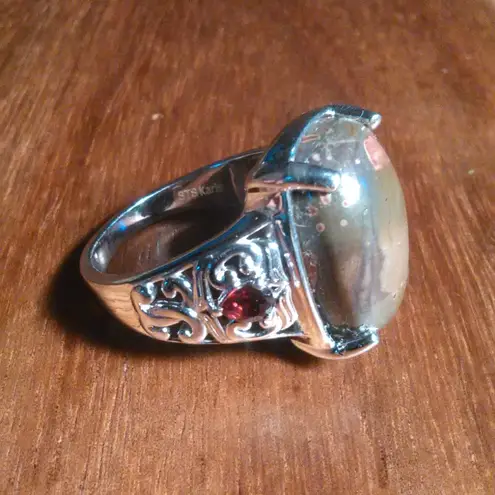 Venus Jasper and Mozambique Garnet Platinum Bond Ring (Size 9)