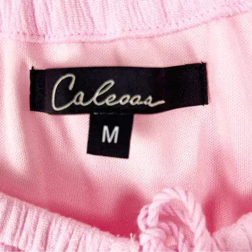 CALESSA Pink Embroidered Lace Hem Front Tassel Tie Long Sleeve Tunic Top Medium