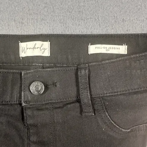 Wonderly Pull On Jeggings Womens 12P Black Flex Stretch Pants Flat Front