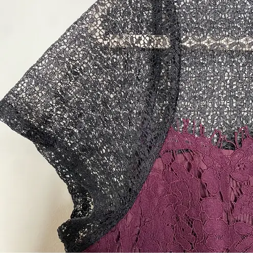 Elle Lace Mixed Media Illusion Fit & Flare Dress Sz 14 Dark Academia