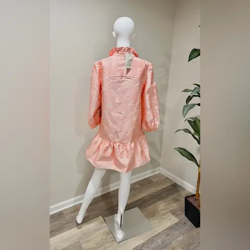 Tuckernuck Bellini Fil Coupe Palmerston Dress S NWT Pink Ruffle Party