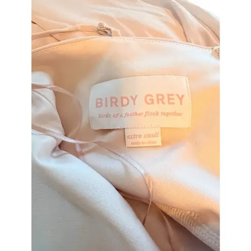 Birdy Grey  Dress Pale Blush Full Length Bridesmaids Gown Women’s Size XS