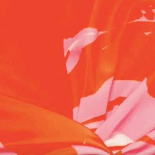 Monique Lhuillier ML Printed Taffeta Crop Top 10