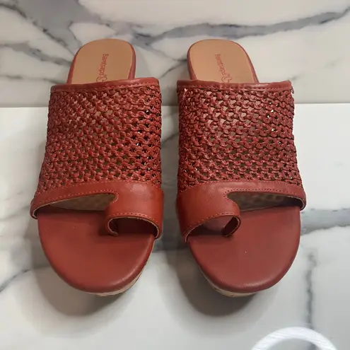 Baretraps Women's Rust Cork Wedge Bethie Sandals Sz 10 Casual Summer Comfort