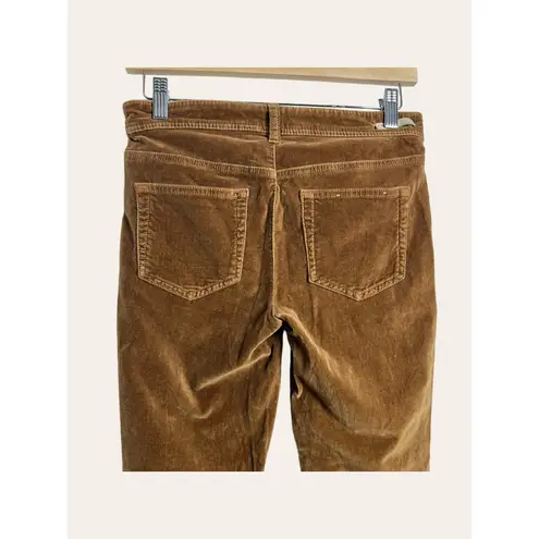 Pilcro and the Letterpress Anthropologie Brown Fit Serig Velvet Skinny Pants 26