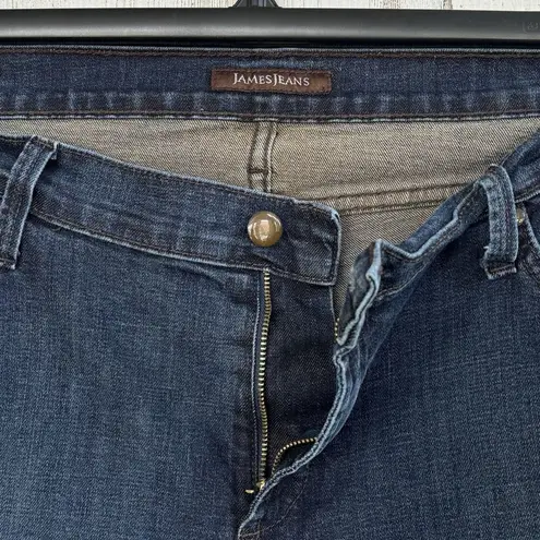 James Jeans SZ 18 Skinny Distressed Mid-Rise Zip-Fly Stretch Ginger Wash Womens