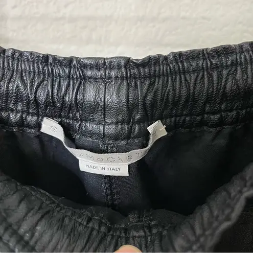 Stella McCartney Kira Faux Leather Sweatpants Jogger Pants Womens Size 34 / US 0