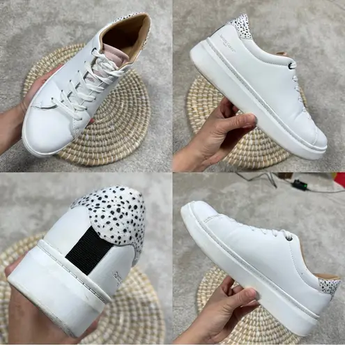 Renato Garini Women’s Platform Lace Sneaker Shoes Comfort in White 40/US 9.5