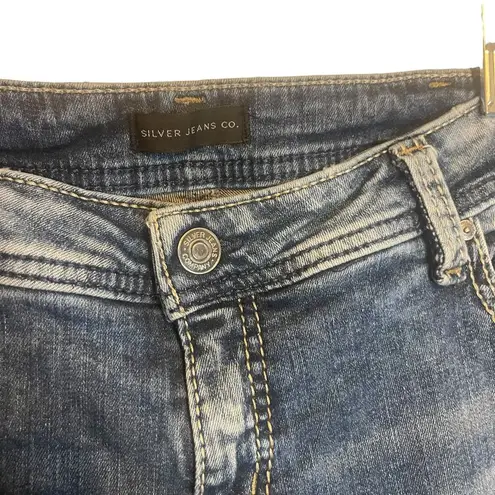 Silver Jeans Co. Women's Plus Size W 36 Girlfriend Skinny Jeans Blue