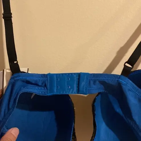 NWT Apartment 9 sapphire and black push up bra size 36B