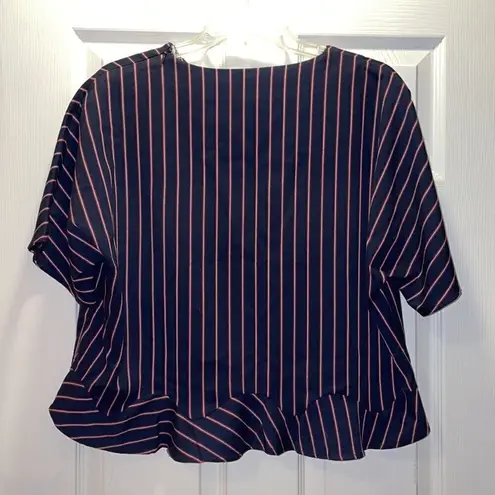 ZARA ✨ Basic Navy, Red & White Striped Cropped Top