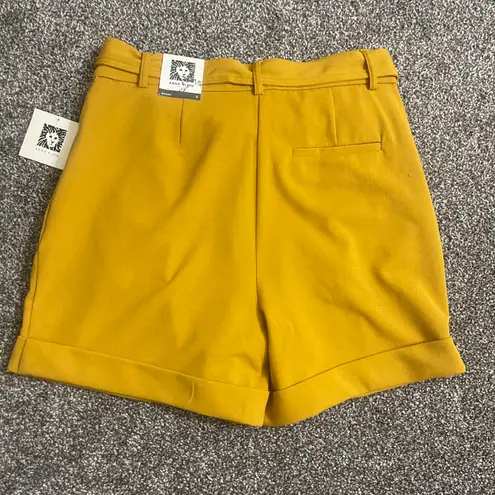 Anne Klein Nwt  Marigold Belt Dress Shorts Size Small