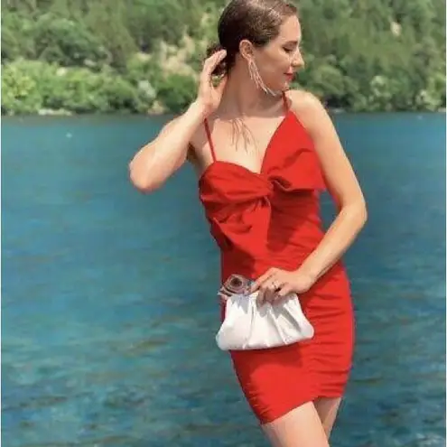 ZARA NWT  Ruched Bow Dress