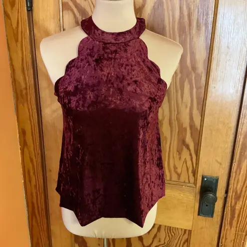 Altar'd State maroon velour top
