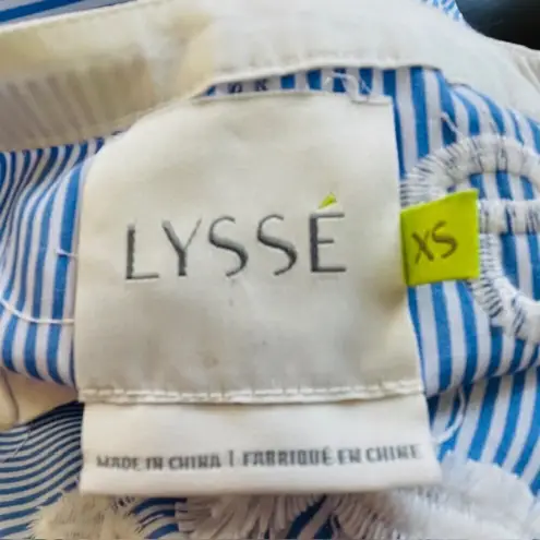 Lysse Blue & White Embroidered 3-D Floral Applique Tunic Top XS