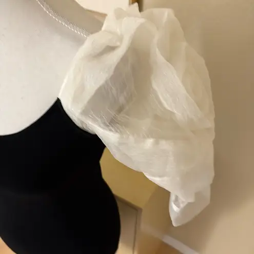 ZARA  Knit Mini Dress Short Sheer‎ Statement Sleeves Size Small Bloggers Favorite