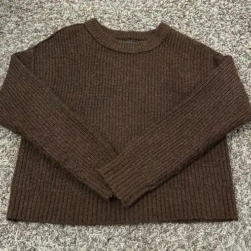 American Eagle Cropped Sweater