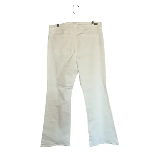 Liverpool NWT X Nordstrom Lucy Bootcut in Bone White 16/33