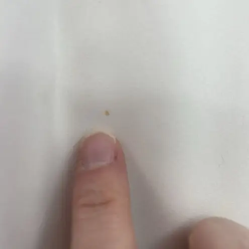 Tahari Plus 2X Top Ivory Black Lace Detail Blouse V-Neck Pleats Jumper Women's